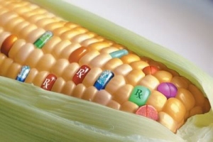La agricultura transgénica no es sostenible.